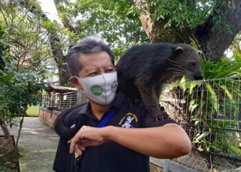 Satwa di Umbul Square Madiun Hilang, Diduga Dijual Oleh Direkturnya