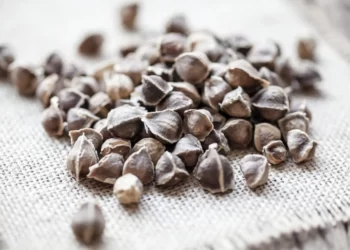 Benarkah Biji Kelor Bisa Menurunkan Tekanan Darah Tinggi? Cek Faktanya