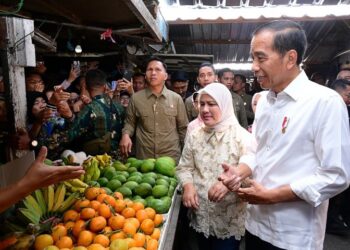 Jokowi Tinjau Pasar Dukuh Kupang: Harga Telur dan Cabai Stabil