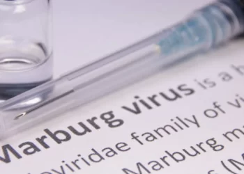 Virus Marburg Serang Rwanda: WHO Peringatkan Bahaya Penyebaran