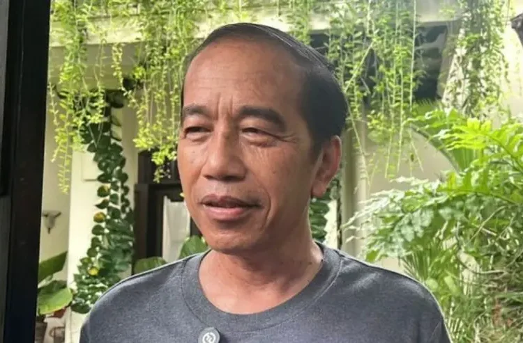 Jokowi Jawab Soal Tuduhan OCCRP: ‘Banyak Fitnah Tanpa Bukti