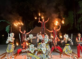 Solo Safari Hadirkan Liburan Akhir Tahun Penuh Warna untuk Keluarga