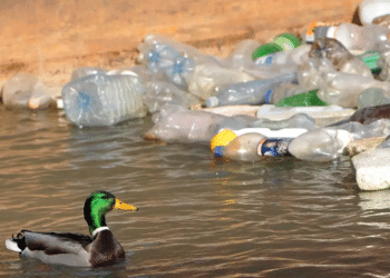 Solo Jadi Kota Uji Coba Program Gradasi, Apa Itu?