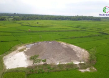 Fenomena Bledug Kramesan di Grobogan Kembali Viral, Bisa Suburkan Tanah?