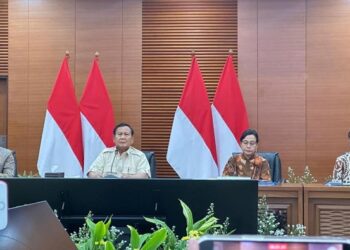 Prabowo Tegaskan Kenaikan PPN 12 Persen Hanya Dikenakan untuk Barang Mewah