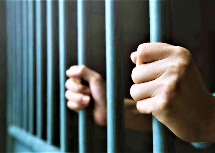 Enam WNI Ditangkap Polisi Jepang, Ini Kronologinya