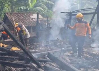 Si Jago Merah Hanguskan Rumah dan Nyawa Lansia di Ngawi