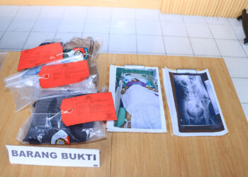 Tusuk Istri, Suami di Ngawi Ditangkap Aparat