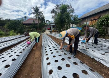 Polsek Ngrambe Dorong Ketahanan Pangan Lewat Pemanfaatan Pekarangan Rumah Warga