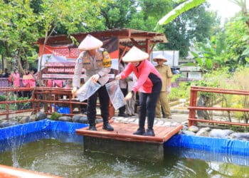 Polres Ngawi dan Bhayangkari Tanam Sayur serta Tebar Benih Ikan di P2L Guna Dukung Ketahanan Pangan
