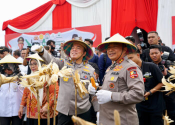Panen Raya Jagung di Madiun, Polri dan Pemerintah Perkuat Ketahanan Pangan
