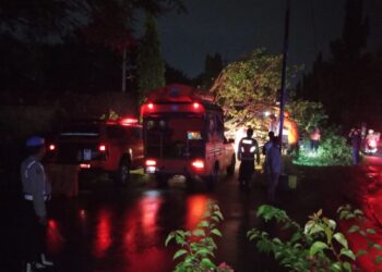 Polsek Manguharjo Gerak Cepat Tangani Pohon Tumbang di Ring Road Barat Madiun