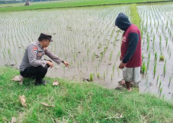 Polsek Kwadungan Cegah Penggunaan Jebakan Tikus Beraliran Listrik di Ngawi