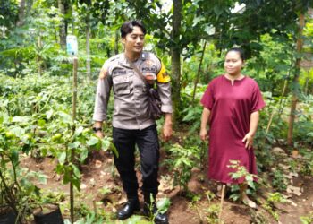 Polsek Sine Gelar Patroli P2B, Wujud Nyata Dukung Ketahanan Pangan