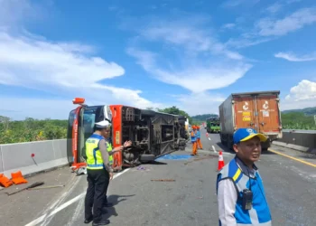 Bus Rosalia Indah Terguling, 3 Orang Luka Ringan