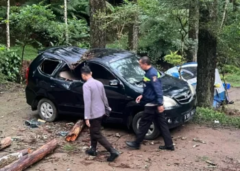 Tenda Diterjang Pohon Tumbang, Anak 12 Tahun Meninggal di New Sekipan