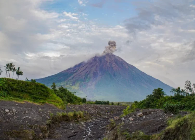Gunung Semeru Erupsi Keluarkan Abu Setinggi 900 Meter