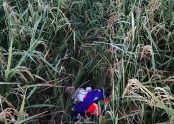 Tega! Bayi 40 Hari Ditemukan Tergeletak di Sawah Sumbergandu