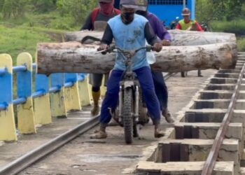 Viral di Media Sosial, Aksi Pencurian Kayu di KPH Madiun Jadi Sorotan, Ini Tanggapan Perhutani