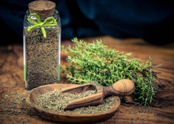 Laris Manis di Pasar Internasional, Ini Rahasia Thyme Asal Indonesia