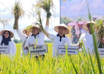 Produktivitas Tinggi, Emil Dardak Sebut Ponorogo Jadi Contoh Keberhasilan Pertanian