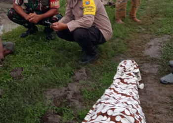Tersengat Jebakan Tikus Beraliran Listrik, Lansia di Madiun Tewas