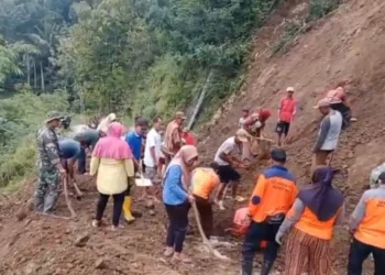 Longsor Timbun Jalan Penghubung Wonogiri–Pacitan, Akses Kini Kembali Normal