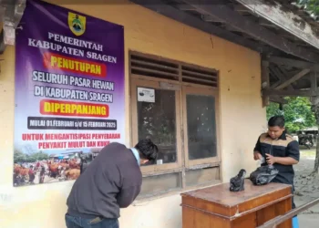 Rencana Relokasi Pasar Hewan Nglangon dan Pembangunan Pasar Terpadu Sragen Ditunda