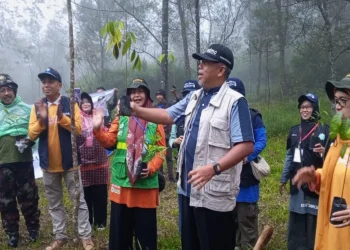 Aksi Tanam Pohon Jadi Penutup Jambore Nasional Relawan Muhammadiyah Aisyiyah di Bukit Mongkrang