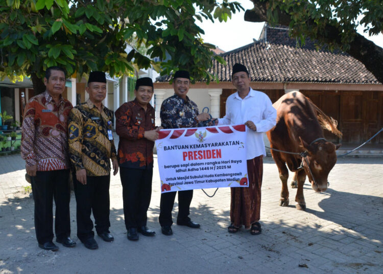 Hadiah Iduladha dari Presiden: Warga Madiun Terima Sapi 1,1 Ton, Bupati: Ini Bukti Kepedulian