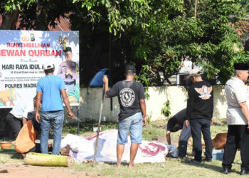 Idul Adha 1446 H, Polres Madiun Kota Sembelih 8 Sapi dan 25 Kambing