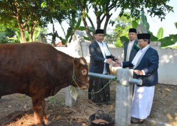 Bupati dan Wabup Madiun Salat Idul Adha di Masjid Agung Quba, Salurkan 33 Hewan Kurban Termasuk Bantuan Presiden