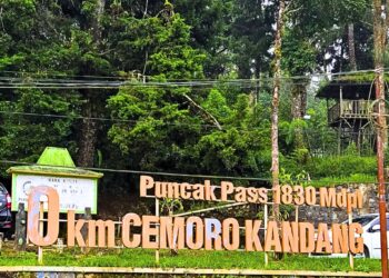 1830 MDPL, Diantara Kabut dan Kegelapan