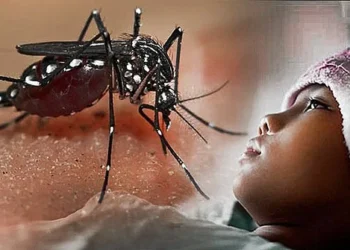 287 Kasus DBD di Boyolali, Tiga Warga Meninggal Dunia