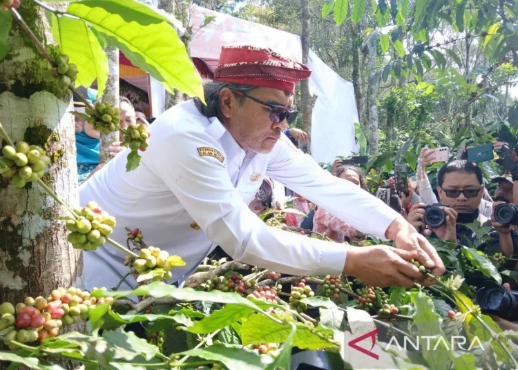 Bupati Temanggung Dorong Petani Kopi Pertahankan Petik Merah demi Jaga Kualitas