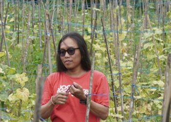 Dari Jogja Untuk Indonesia, Generasi Muda Mengubah Wajah Pertanian