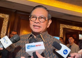 Pemprov DKI Siap Lebih Proaktif Dukung Proyek Giant Sea Wall