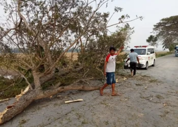 Pengendara Motor di Sragen Luka-Luka Tertimpa Pohon Tumbang