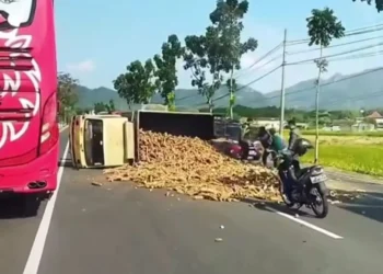 Truk Terguling, Singkong Berserakan di Jalan Nambangan-Krisak Selogi