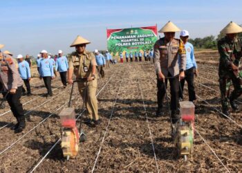 Kolaborasi TNI-Polri dan Petani, Boyolali Targetkan Produktivitas Jagung