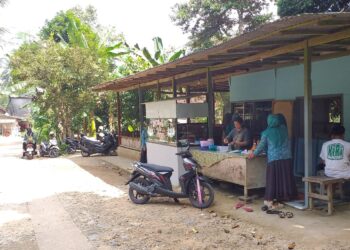 Meski di Pelosok, Depot Mie Ayam Ijo Tak Pernah Sepi Pembeli