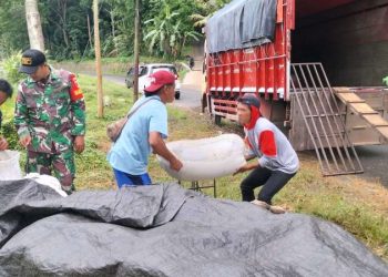 Babinsa Koramil Arjosari dan Bulog Kawal Penyerapan Gabah Petani di Pacitan