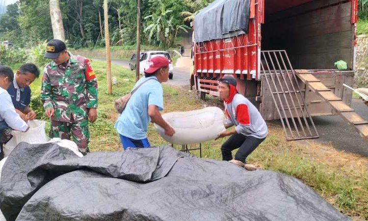 Babinsa Koramil Arjosari dan Bulog Kawal Penyerapan Gabah Petani di Pacitan