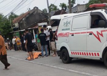 Adu Banteng di Jalan Gemolong-Tanon, Pengendara Motor Tewas di Tempat