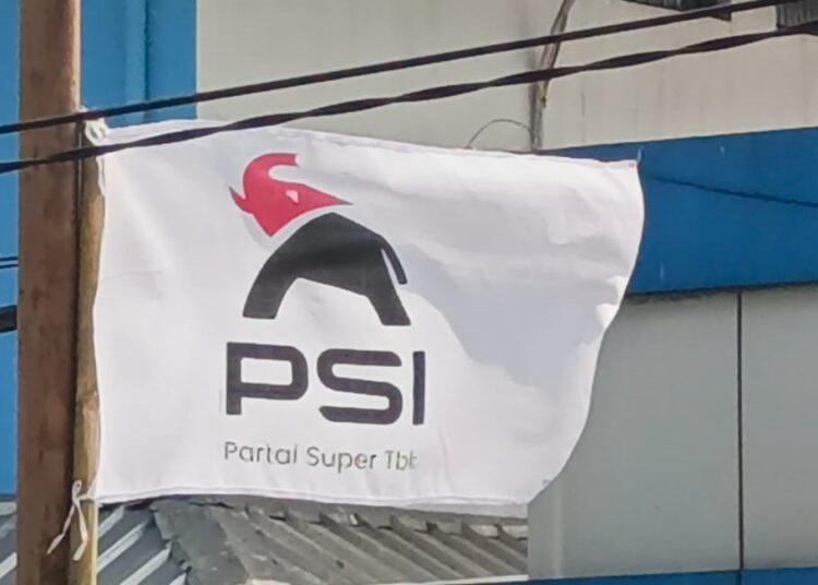Logo Baru PSI Bergambar Gajah, Sejarawan Ungkap Makna Filosofisnya