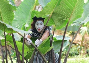 Mengenal Dunia Imajinasi Agung Riduwan, Mendidik Anak-anak dengan Bermain