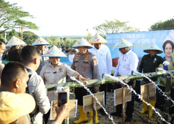 Kapolri Pimpin Penanaman Jagung Serentak, Sasar 1 Juta Hektare hingga Akhir 2025