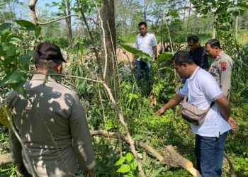 Tersengat Listrik Saat Tebang Pohon, Warga Musuk Boyolali Tewas