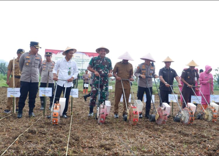 Sinergi TNI–Polri dan Pemkab Pacitan, Gencarkan Gerakan Tanam Jagung Kuartal III