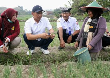 Program Medhayoh Bojonegoro Dorong Agrowisata dan Kesehatan Masyarakat
